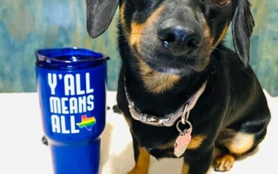 Paws, Pride, and Love 2025
