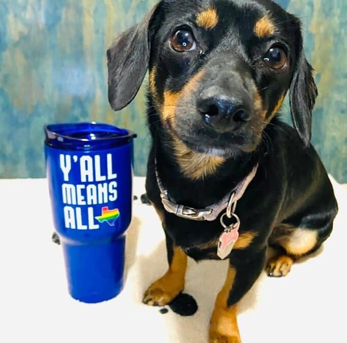 Paws, Pride, and Love 2025