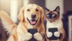 Linktree Texas Pet Company