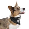 My Dog Watches Women's Sports Pet Bandana - Image 11