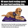 Therapy Dog Mat Safety Rest