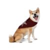 Reveille Gig 'Em! Wink Dog Bandana - Image 5