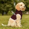Reveille Gig ‘Em! Wink Dog Hoodie - Image 6