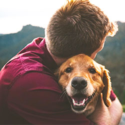 Buy For You and your dog