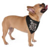 Tricks For Treats Halloween Dog Bandana Frenchie