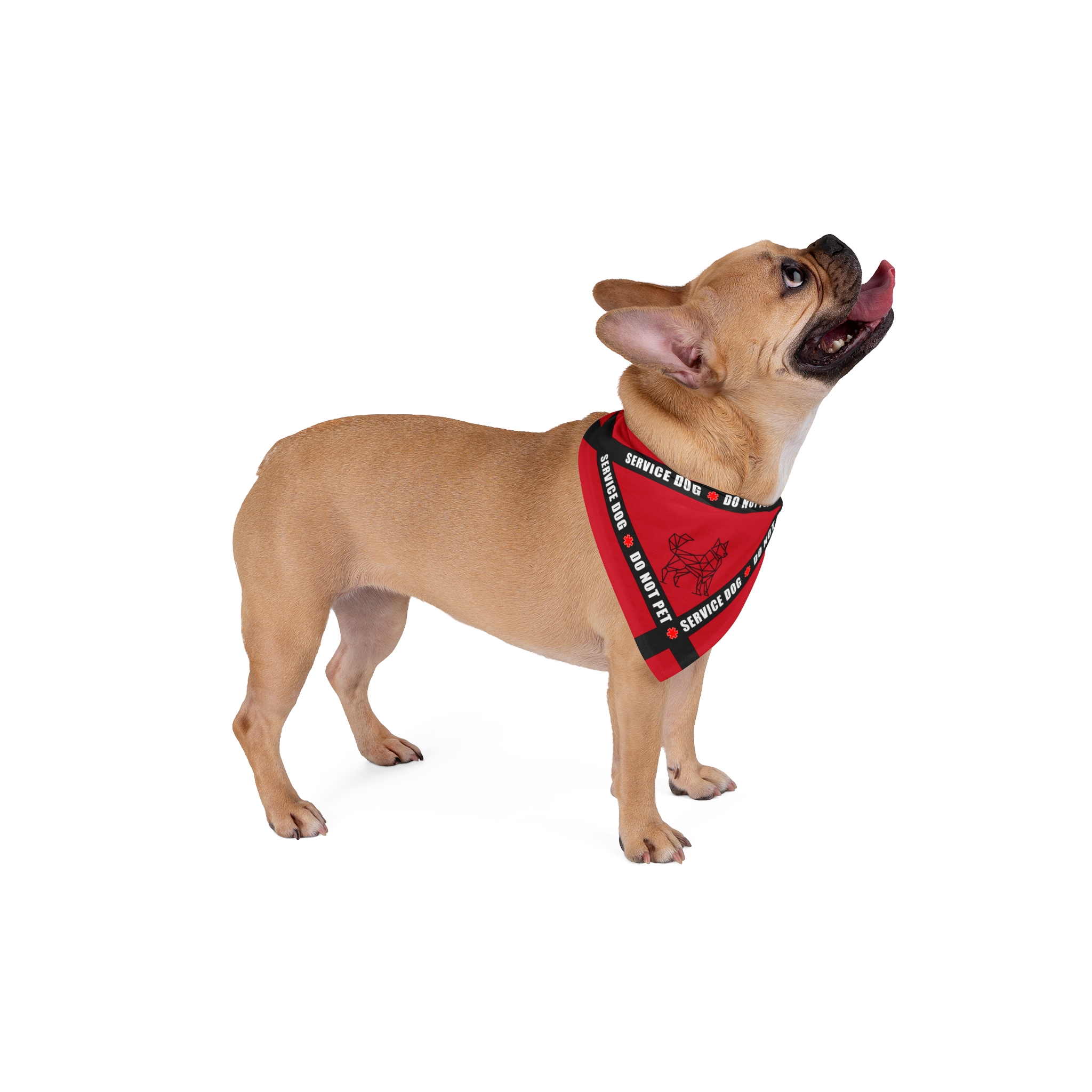 Service Dog Bandana - Triangle 4 Service Dog Bandana - Triangle - Image 4