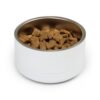 Mama's Boy Pet Food or Water Bowl | 18oz Stainless Steel - Image 4