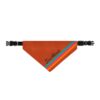 San Antonio Fiesta Basketball Leather Pattern Retro Stripe Clip-On Pet Bandana - Image 2