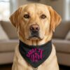 Daddy's Girl Dog Bandana on Yellow Lab