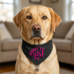 Daddy's Girl Dog Bandana black and Pink on lab