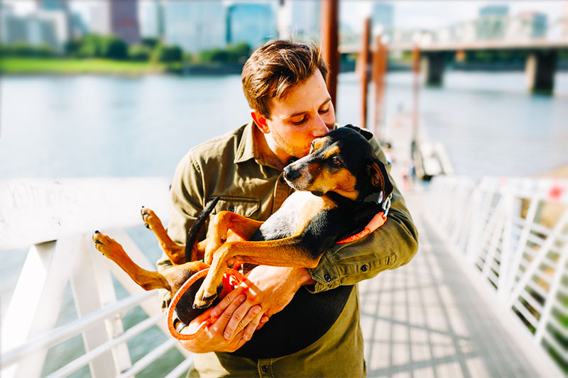 Fathers Day For Dog Dads Kissing Dogs