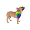 Rainbow "Love is Love" Paw Print Pet Bandana - Image 4