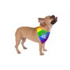 Rainbow "Love is Love" Progress Paw Print Pet Bandana - Image 4