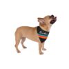 San Antonio Fiesta Basketball Retro Stripe Pet Bandana - Image 9