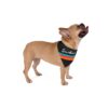San Antonio Fiesta Basketball Retro Stripe Pet Bandana - Image 4