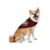 Dr Pupper Logo Pet Bandana - Image 5